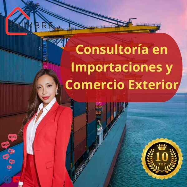 Consultoría en Importaciones y Comercio Exterior | Optimiza tu Negocio